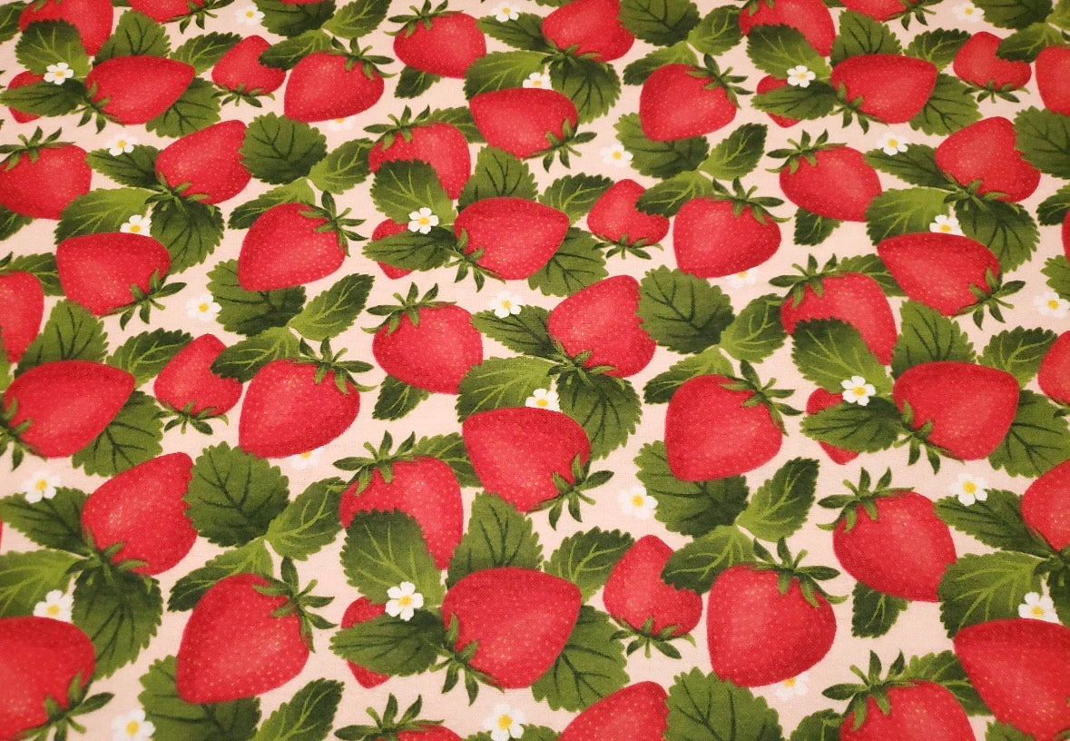 Strawberry Fields 2-Ply Reusable Dish Towels π