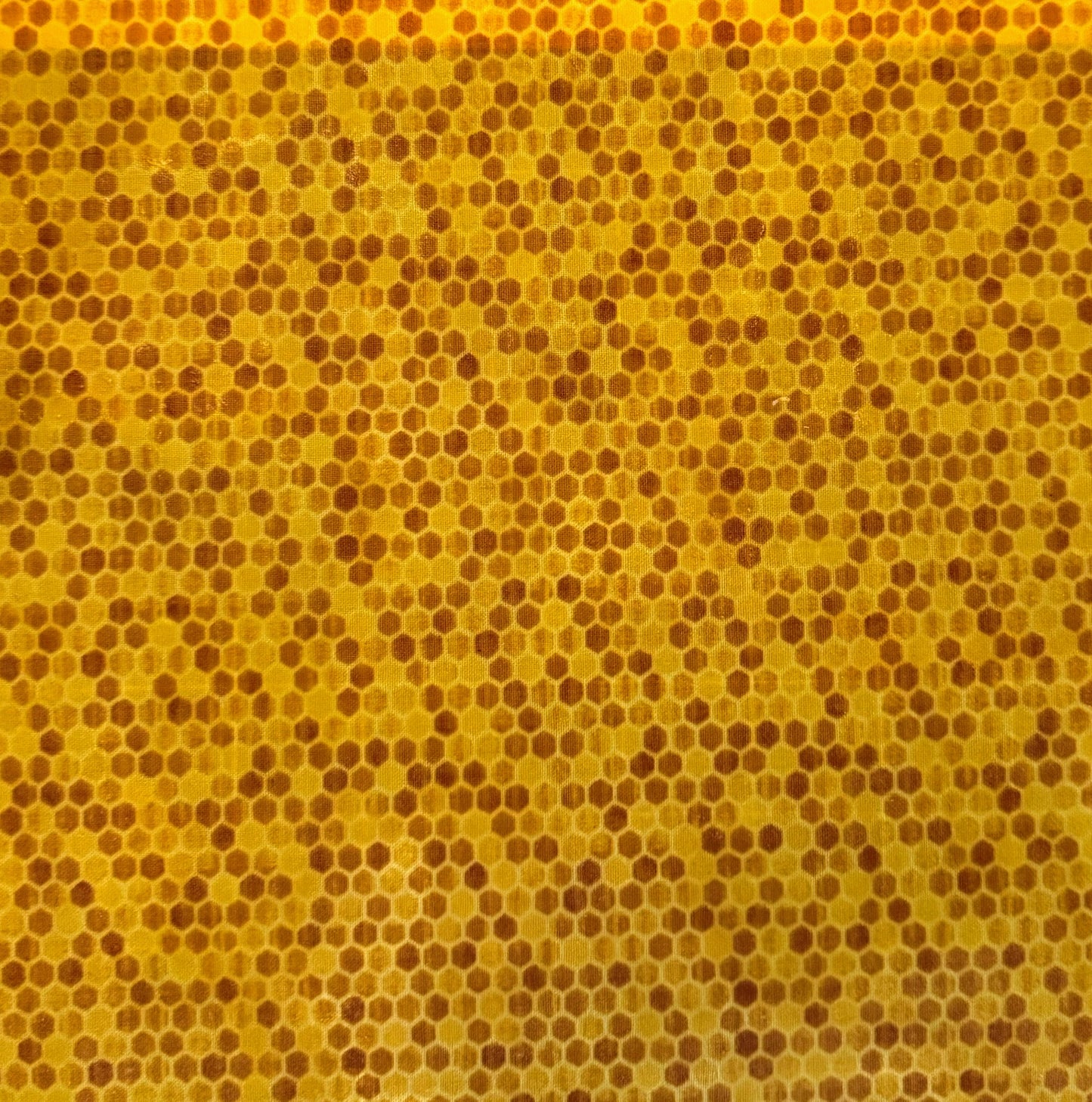 Beeswax Wraps – 2 Pack (Medium 12”x12”) | Reusable & Eco-Friendly