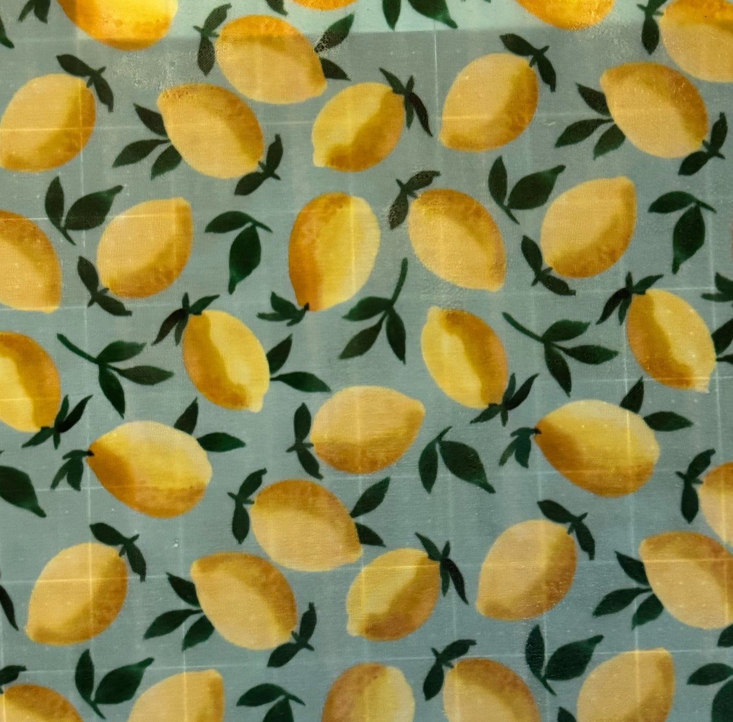 Beeswax Wraps – 2 Pack (Medium 12”x12”) | Reusable & Eco-Friendly