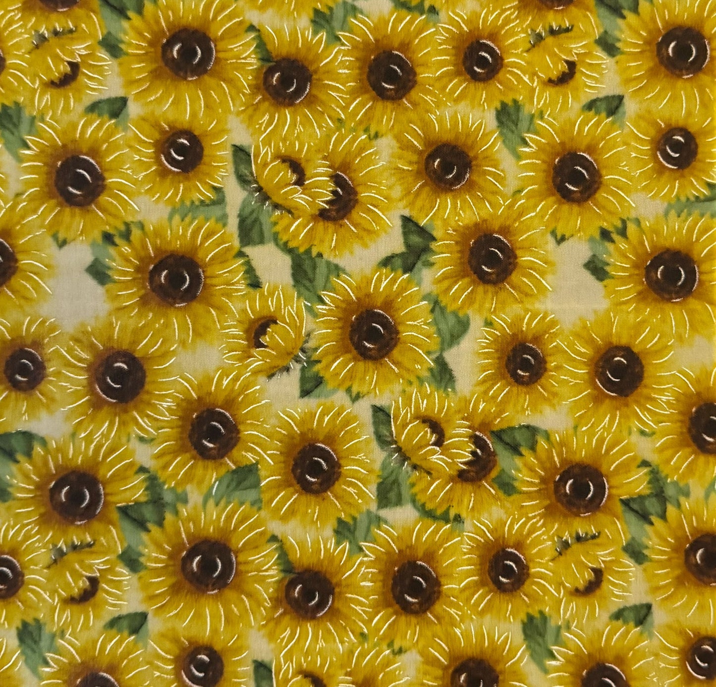 Beeswax Wraps – 2 Pack (Medium 12”x12”) | Reusable & Eco-Friendly