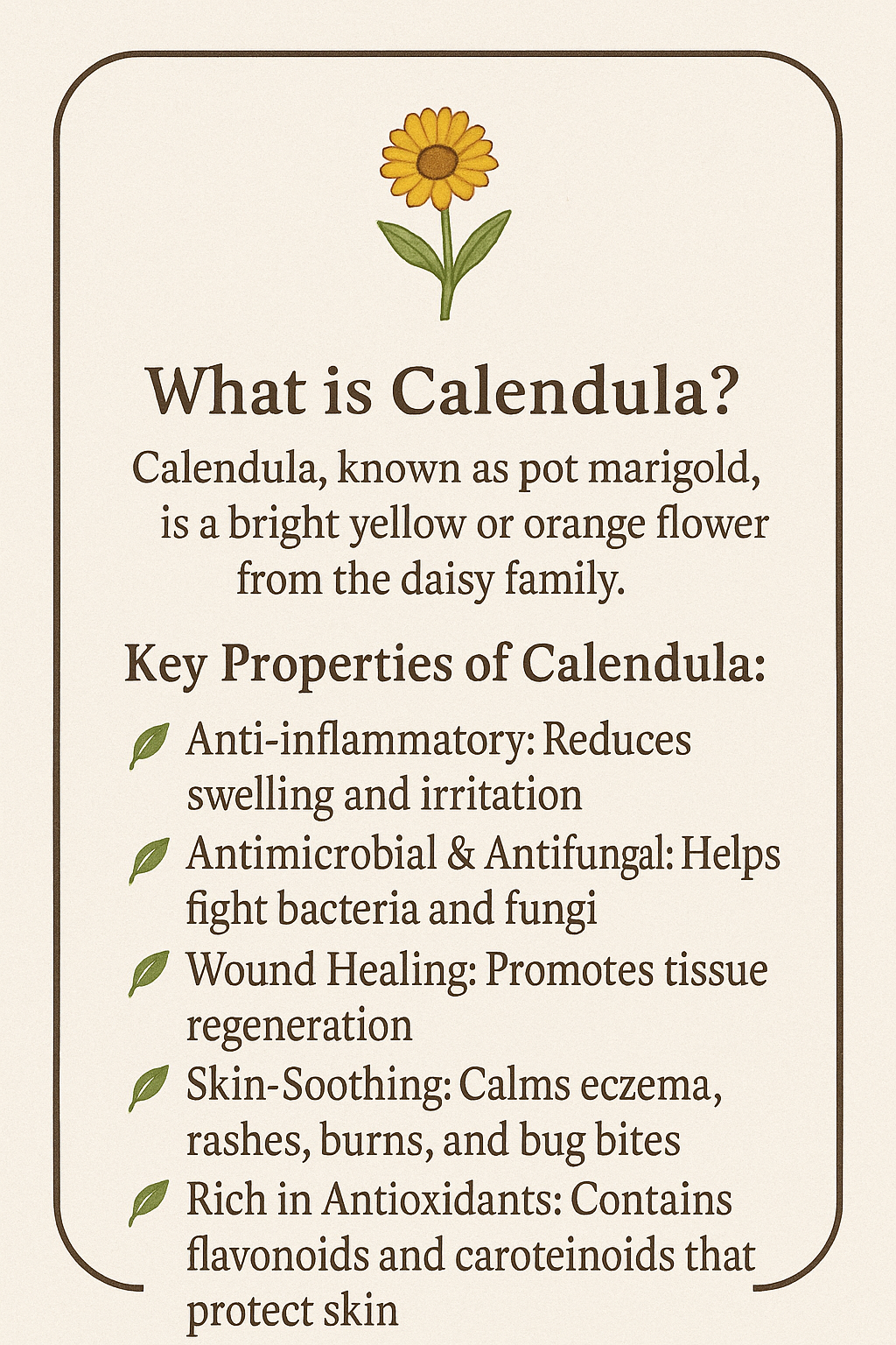 Calendula Oil – Handmade Herbal Infusion for Skin Care (2 oz / 4 oz)