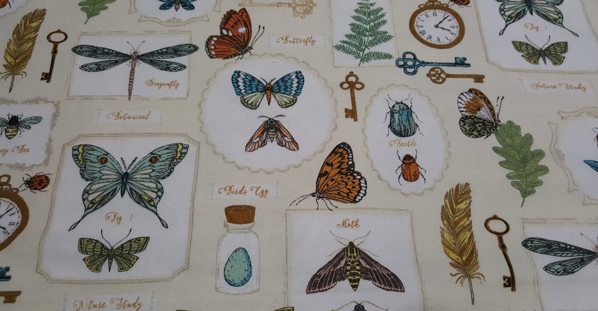 Vintage Nature Study 2-Ply Dish Towels