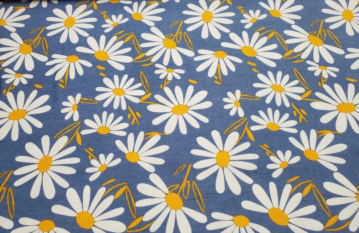 Blue Daisy 2-Ply Reusable Dish Towels
